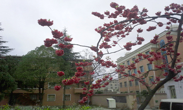 贵州现代经济学校2015年招生简章